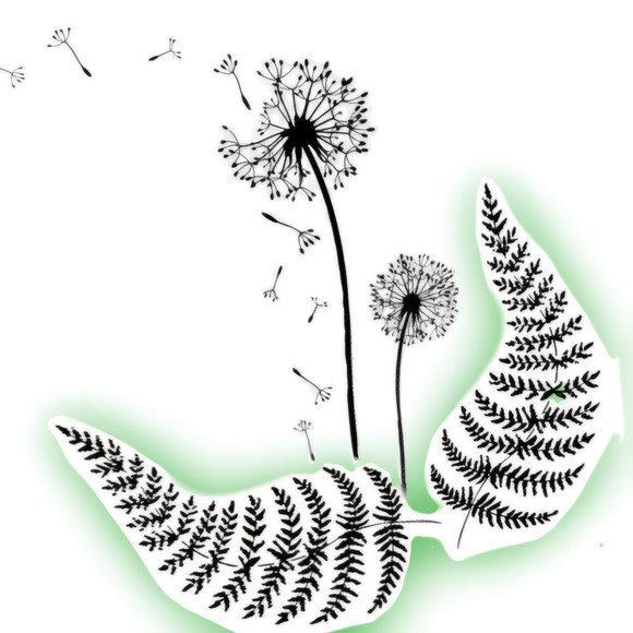 Meet the owner! - Picture 2 of 3